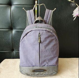 Hedgren Lilac and Gray Backpack