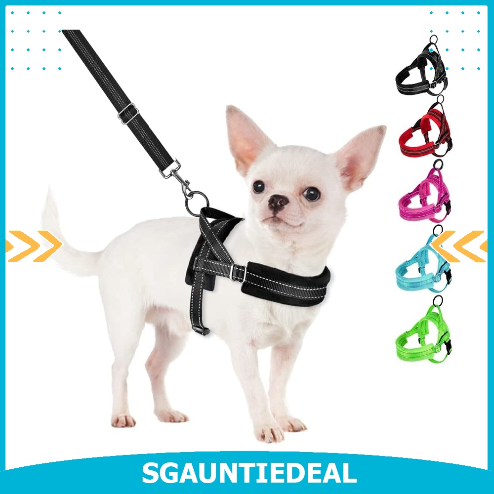 Nanu Small Dog Harness