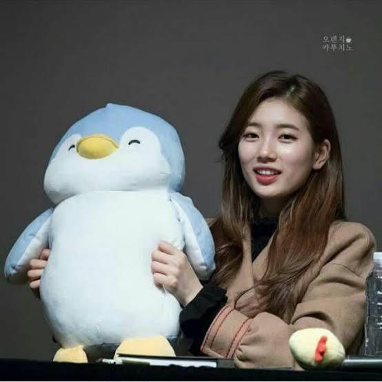 k drama while you were sleeping penguin doll miniso Hobbies