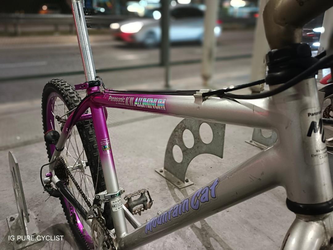 Cat discount frame basikal