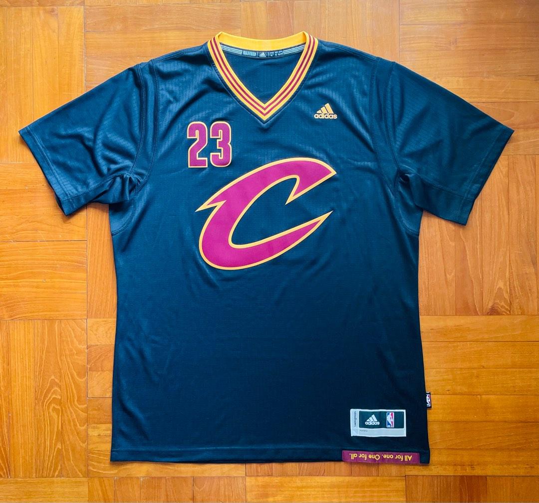 Lebron james hotsell pride swingman jersey