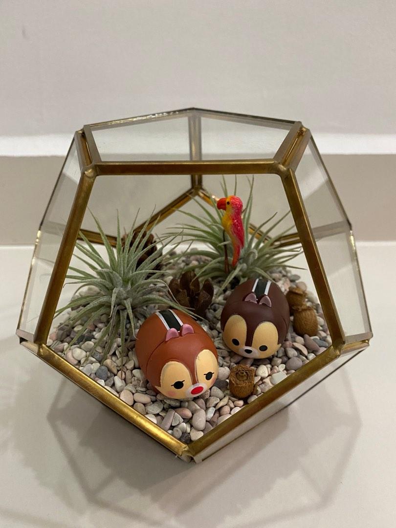 Pentagonal Pot Pentagonal pot or terrarium, Furniture & Home Living, Gardening, Pots ...
