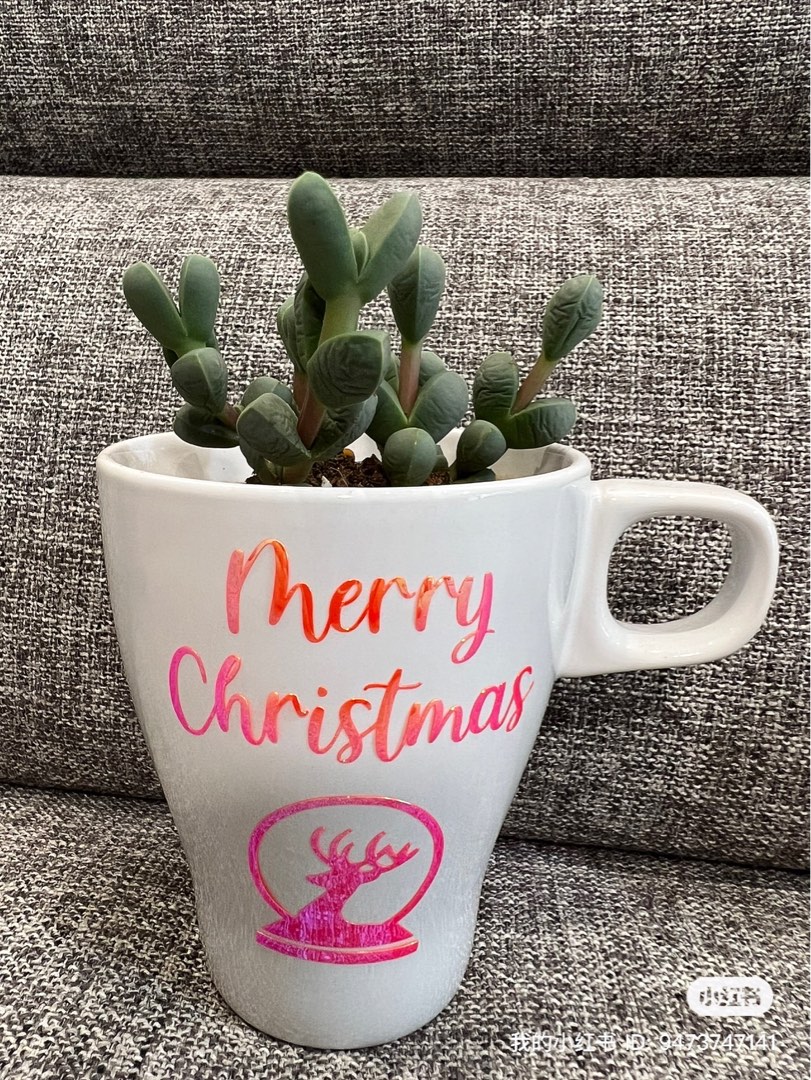 Plant in a mug, Hobbies & Toys, Stationery & Craft, Handmade Craft on