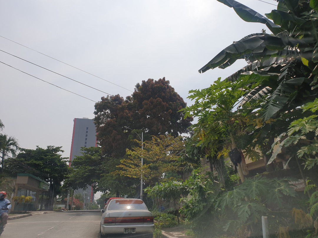 Residential Lot for sale in Scout Chuatoco Street Quezon City, Property
