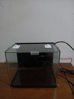 Small fish tank with top cover and filter