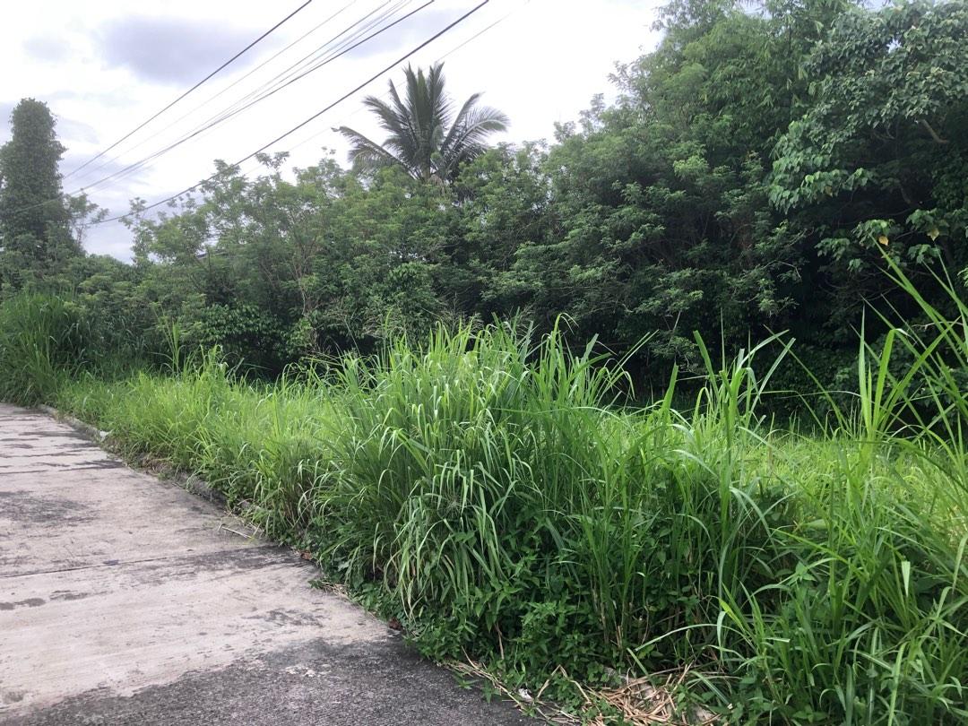 Tagaytay Country Homes 2 lot for sale, Property, For Sale, House & Lot