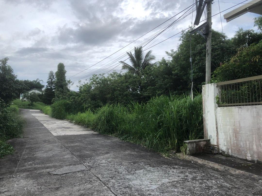 Tagaytay Country Homes 2 lot for sale, Property, For Sale, House & Lot