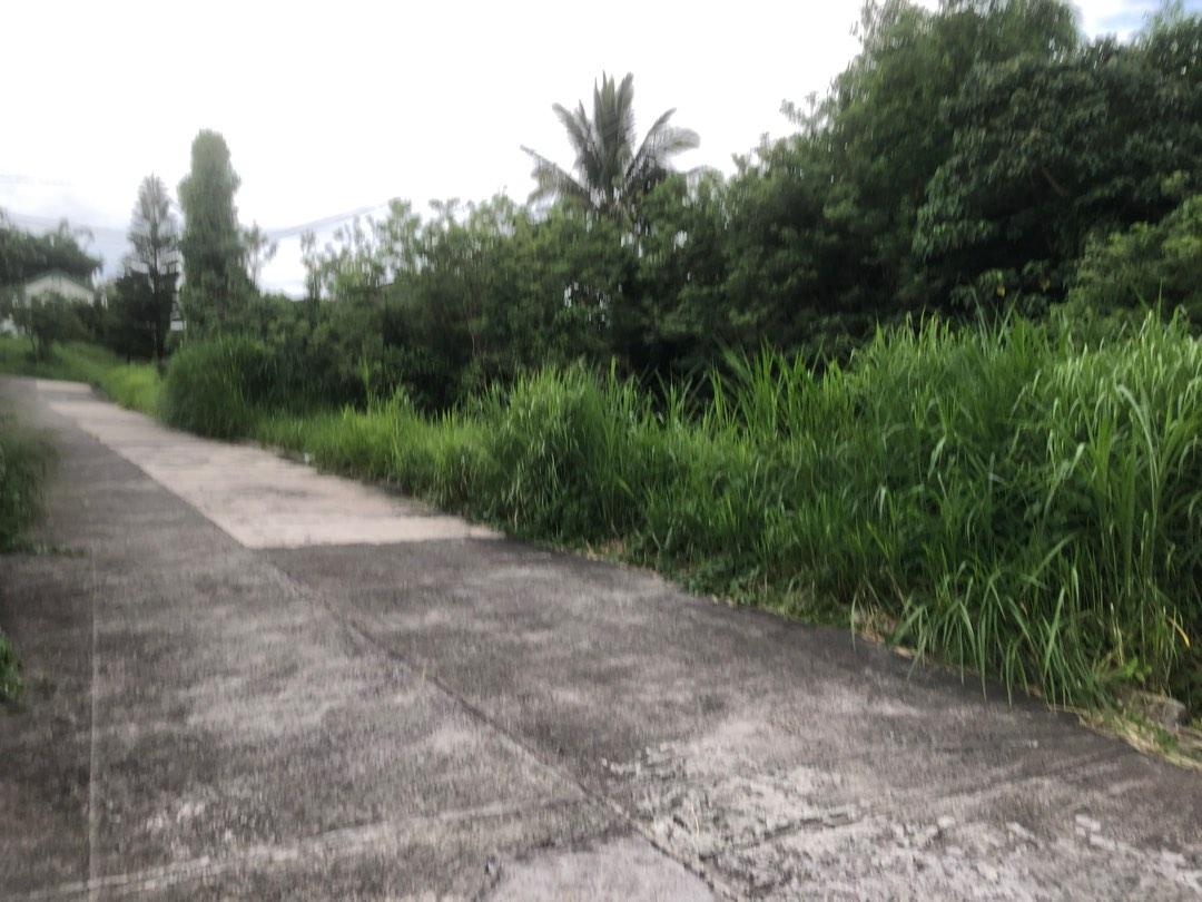 Tagaytay Country Homes 2 lot for sale, Property, For Sale, House & Lot