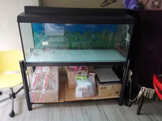 (Category: ) located in . Submitted by guylovescoffee (Listing ID 1190778799, Image 1). Description: .