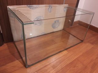 (Category: ) located in . Submitted by t.madhatter (Listing ID 1190828828, Image 1). Description: .