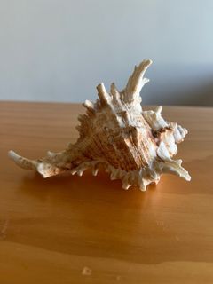 （分類：）位於 。 由 aczom 提交（商品編號 1190690600，圖片 1）。簡介： 。
