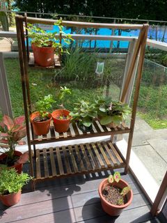 (Category: ) located in . Submitted by clairejoyluck (Listing ID 1190699052, Image 1). Description: .