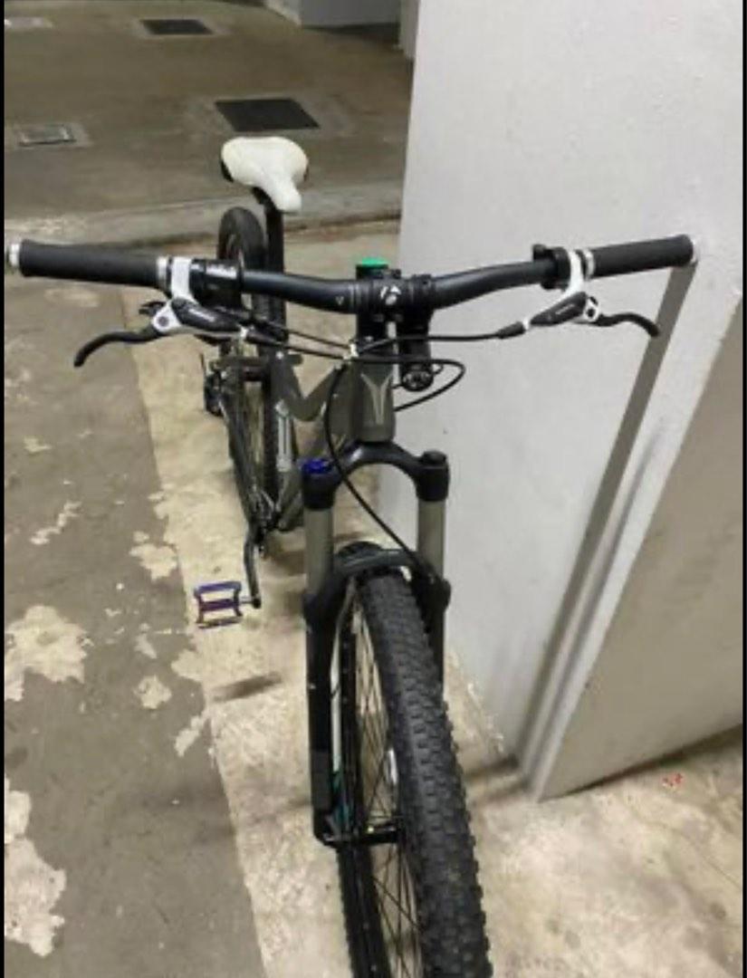 Trek 2025 cali 29er