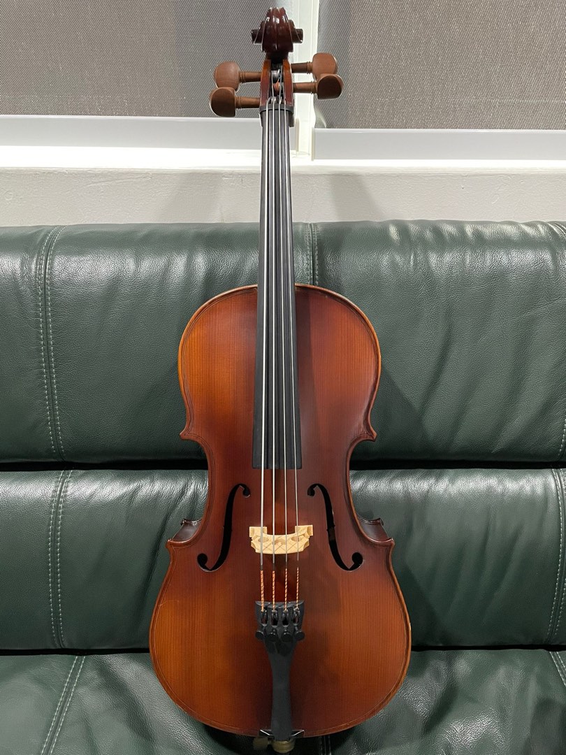 Cello With 7 Strings: Complete Guide – VLAICY
