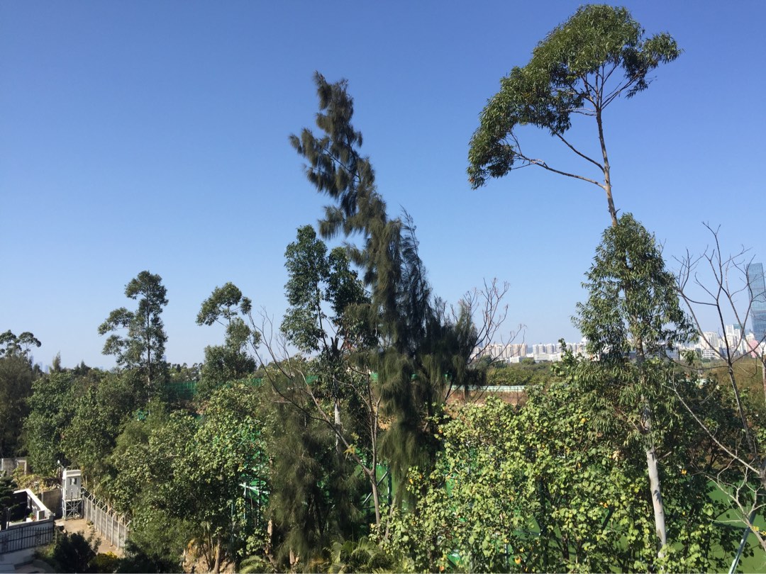 Self-owned California Garden, Near Mall, Quiet with Tree View, Single-side Building King, Practical 1016 sq.ft. ($14,000/sq.ft.), Sun Hung Kai HOUSE, Double Parking64076921317506113