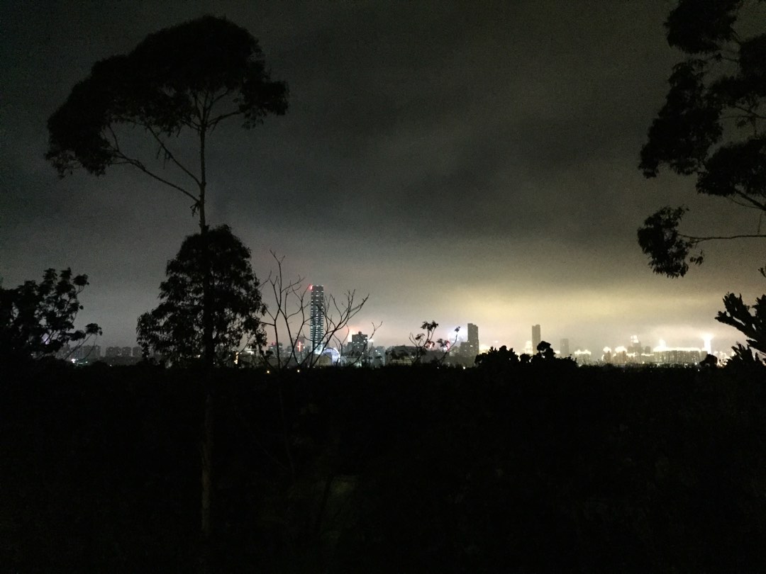 Self-owned California Garden, Near Mall, Quiet with Tree View, Single-side Building King, Practical 1016 sq.ft. ($14,000/sq.ft.), Sun Hung Kai HOUSE, Double Parking64076921317506114