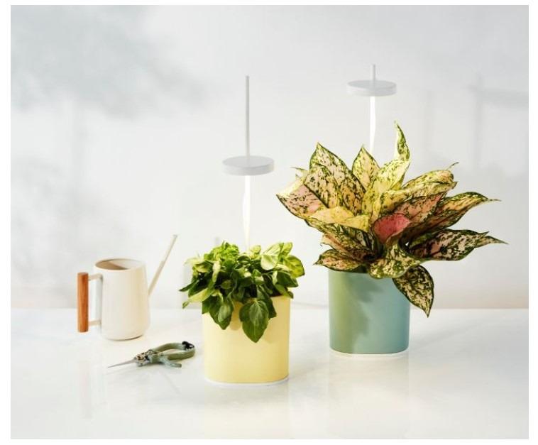 室内智能盆栽_Pret a Pousser Nano Smart Indoor Garden_YELLOW, 傢俬＆家居, 園藝, 盆栽