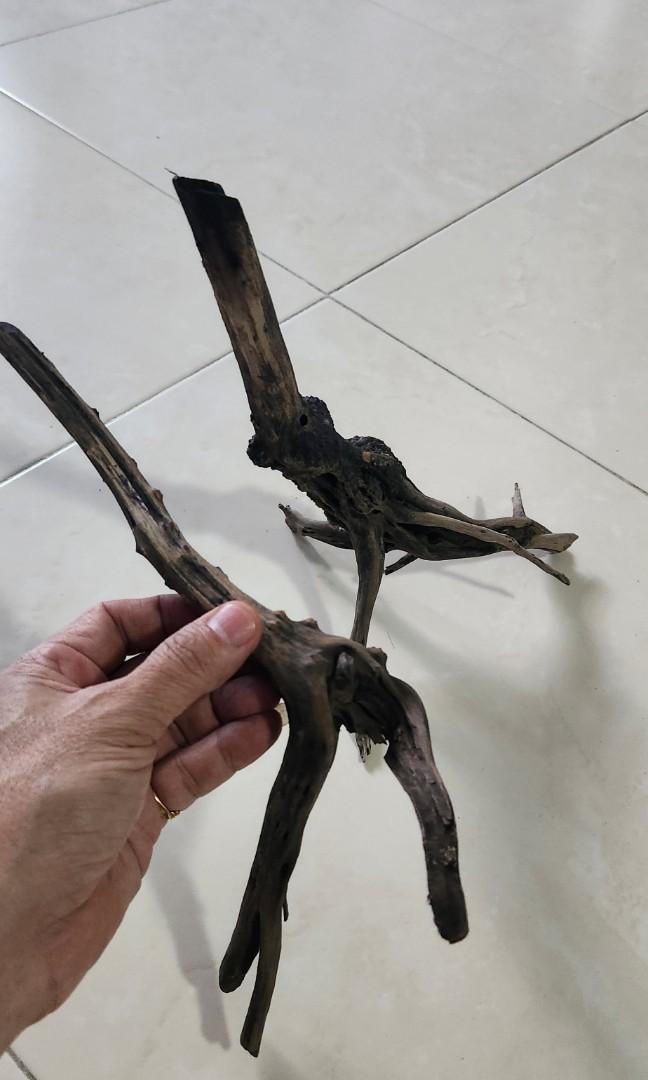 Aquarium Driftwood for sale, Pet Supplies, Homes & Other Pet