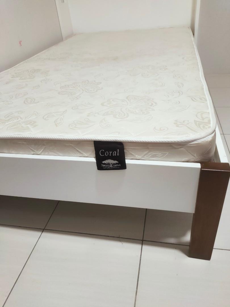 Harvey Norman Huge super single bed with CORAL brand mattress imported