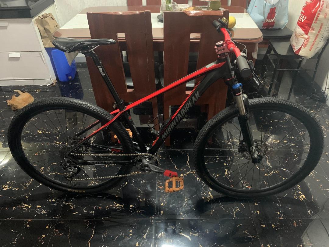 mountain peak ninja 29er specs