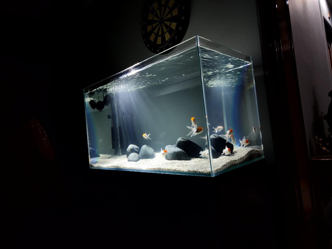 Premium Gravel, Pet Supplies, Health & Grooming on Carousell