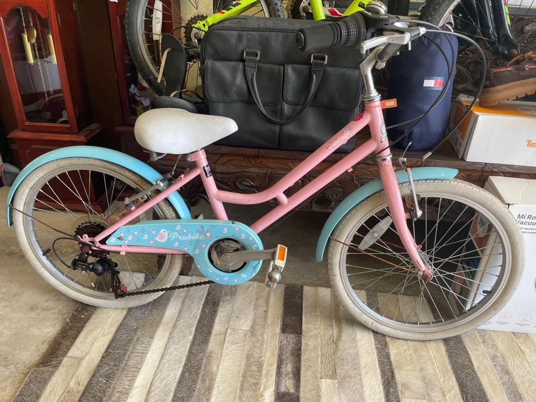 Probike mini sale vintage