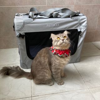 (Category: ) located in . Submitted by spiritsaway (Listing ID 1191003886, Image 1). Description: .
