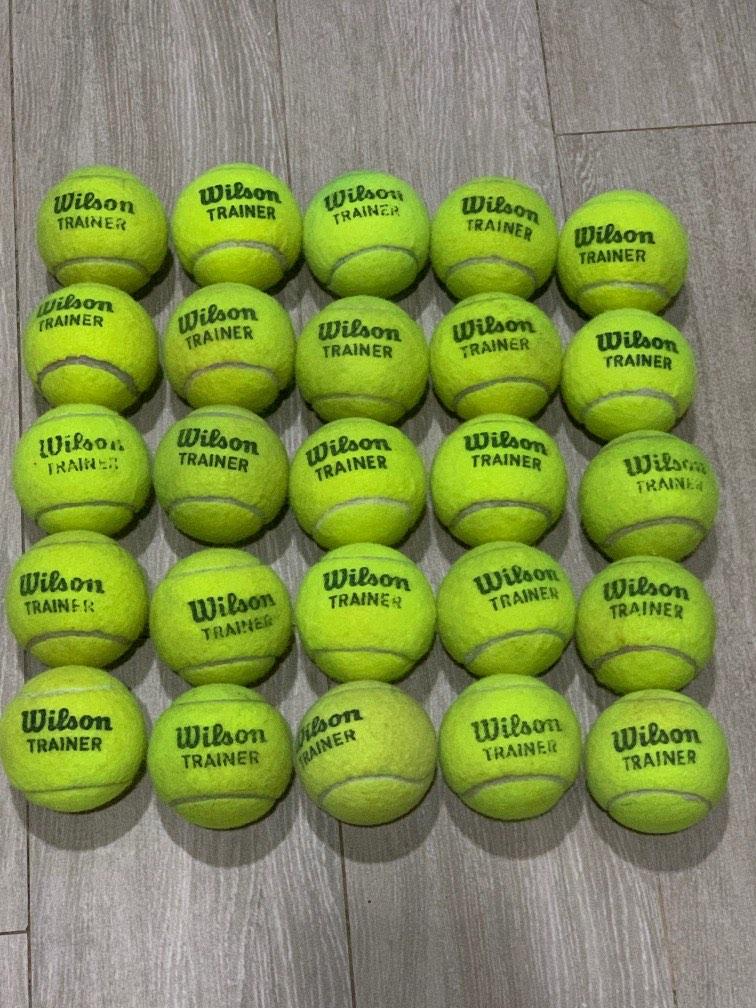 Tennis Balls (Wilson Trainer), Sports Equipment, Sports & Games, Racket