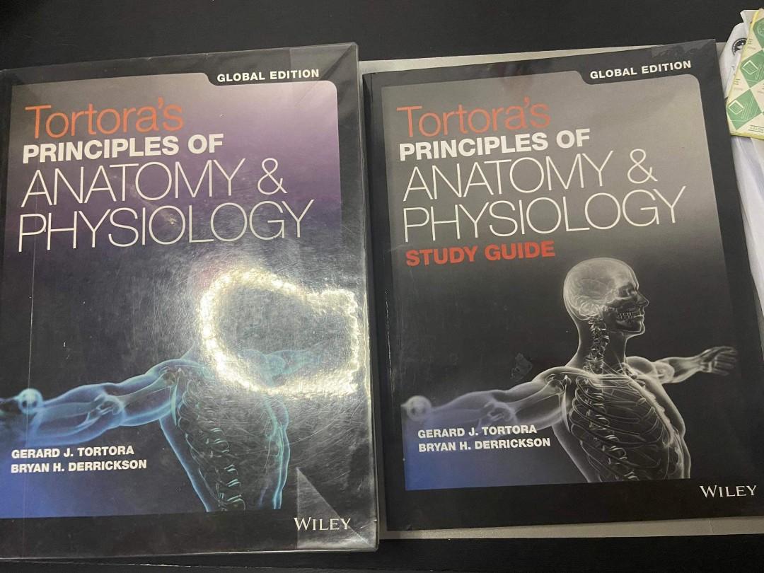 Tortora's Principles of Anatomy and Physiology (Global Ed.) + Study
