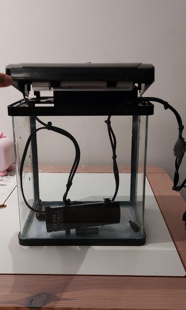 Aquarium set Light + Hailea pump, Pet Supplies, Homes & Other Pet