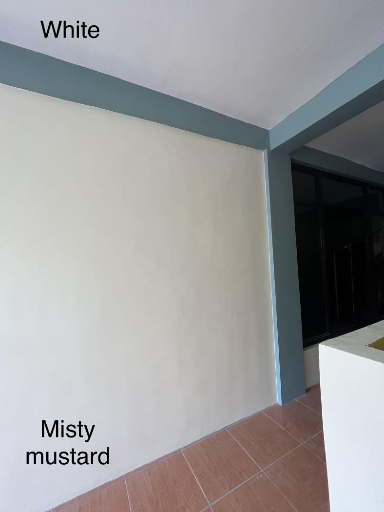 Boysen Paint, Furniture & Home Living, Home Improvement & Organization