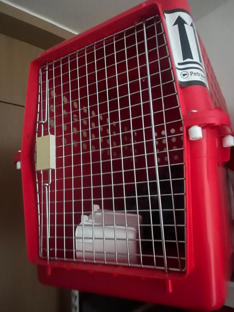 Dog transport cage, Pet Supplies, Homes & Other Pet Accessories on