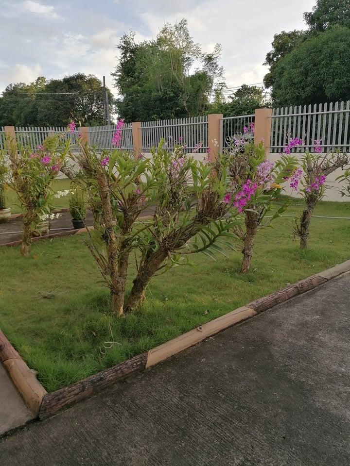 FARM HOUSE in San Narciso Zambales, Property, For Sale, Lot on Carousell