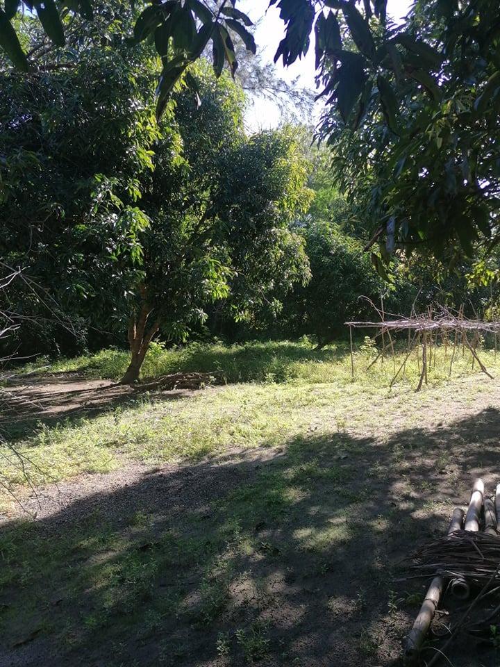 FARM HOUSE in San Narciso Zambales, Property, For Sale, Lot on Carousell