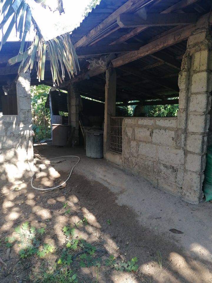 FARM HOUSE in San Narciso Zambales, Property, For Sale, Lot on Carousell
