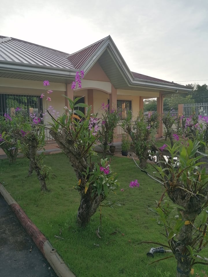 FARM HOUSE in San Narciso Zambales, Property, For Sale, Lot on Carousell