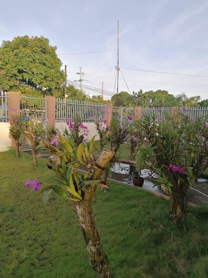 FARM HOUSE in San Narciso Zambales, Property, For Sale, Lot on Carousell