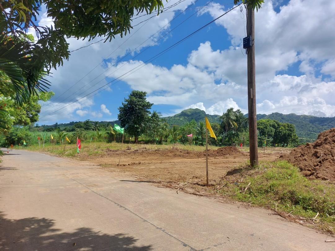 Farm lot for sale in Batangas, Property, For Sale, Lot on Carousell