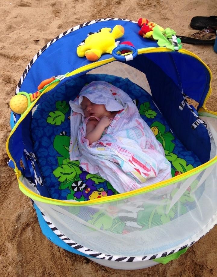 Fisher Price Activity Dome Tent, Babies & Kids, Infant Playtime on