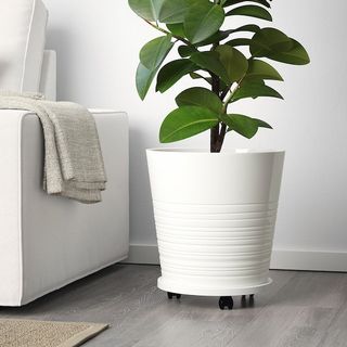 (Category: ) located in . Submitted by serraj (Listing ID 1191114752, Image 1). Description: .