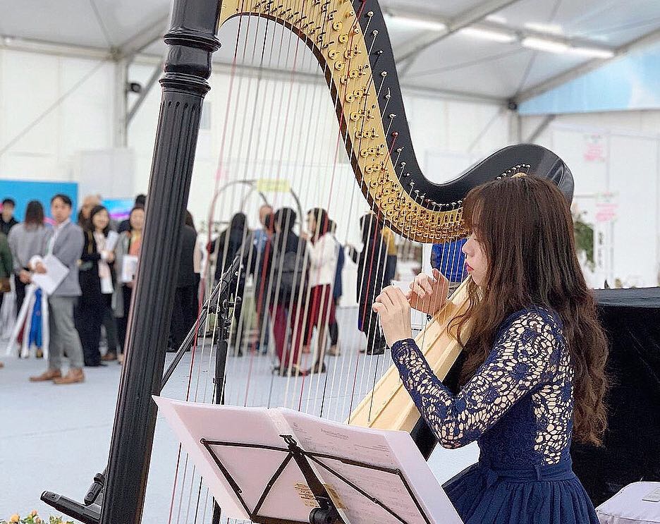 Professional Harp performance for weddings & events62859979732227111