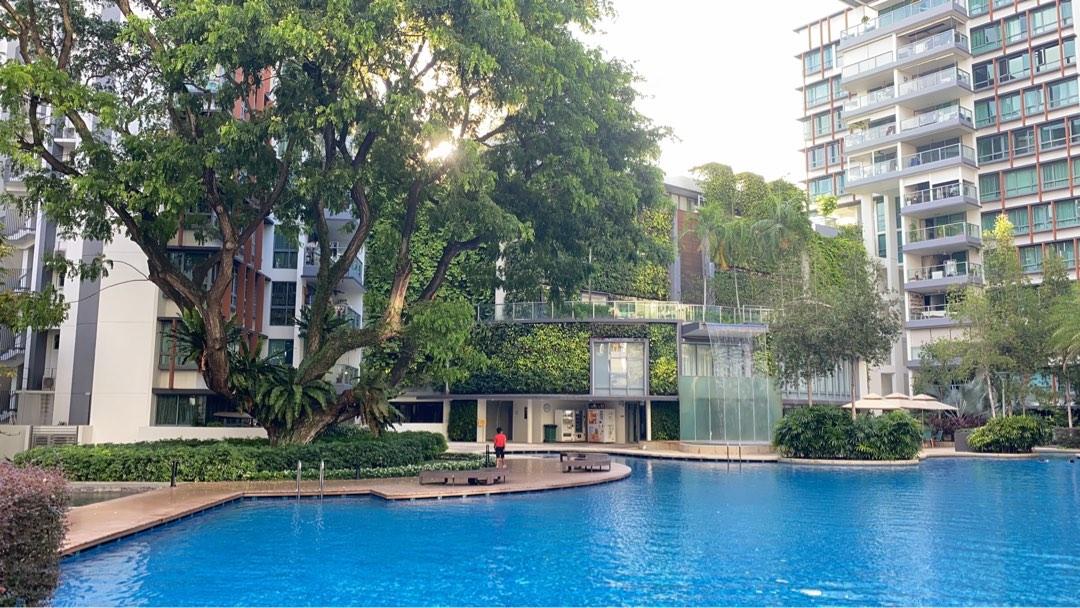 Room for rent Double Bay Residences Available now, Property, Rentals