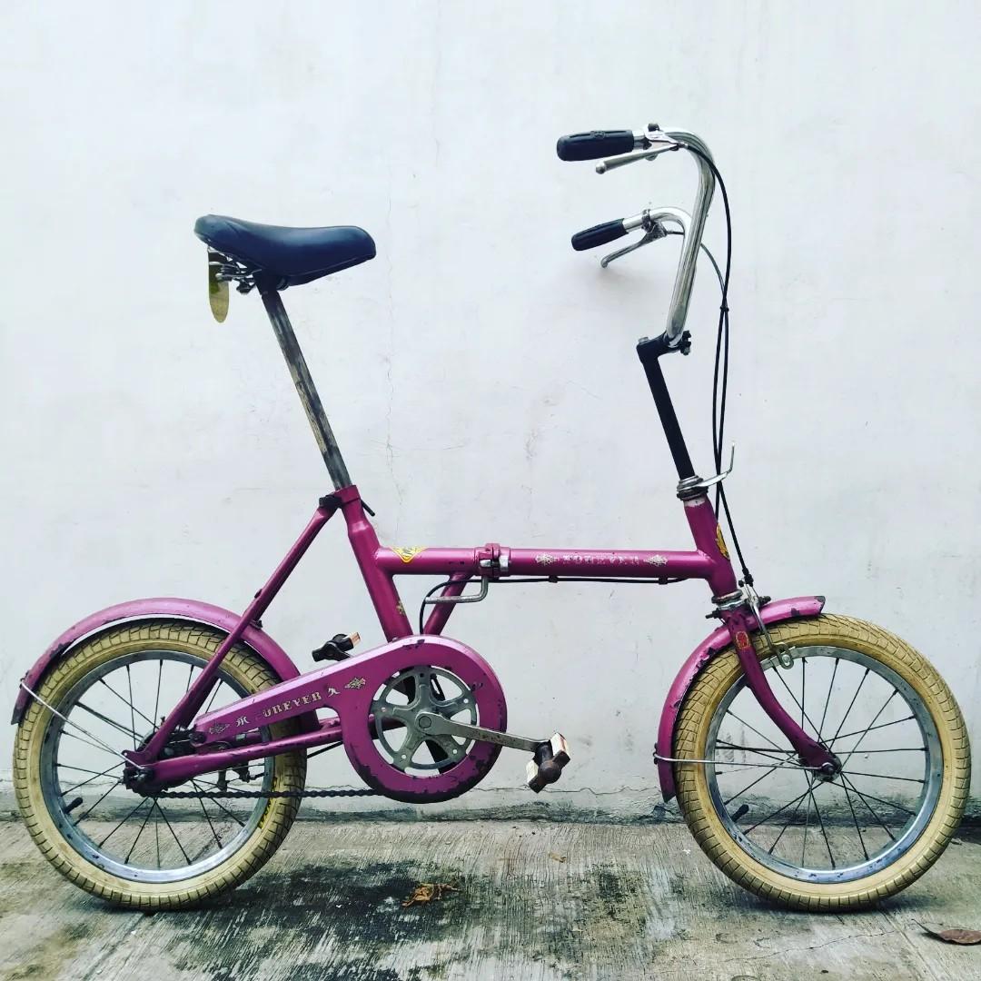 Dahon translite v 2025