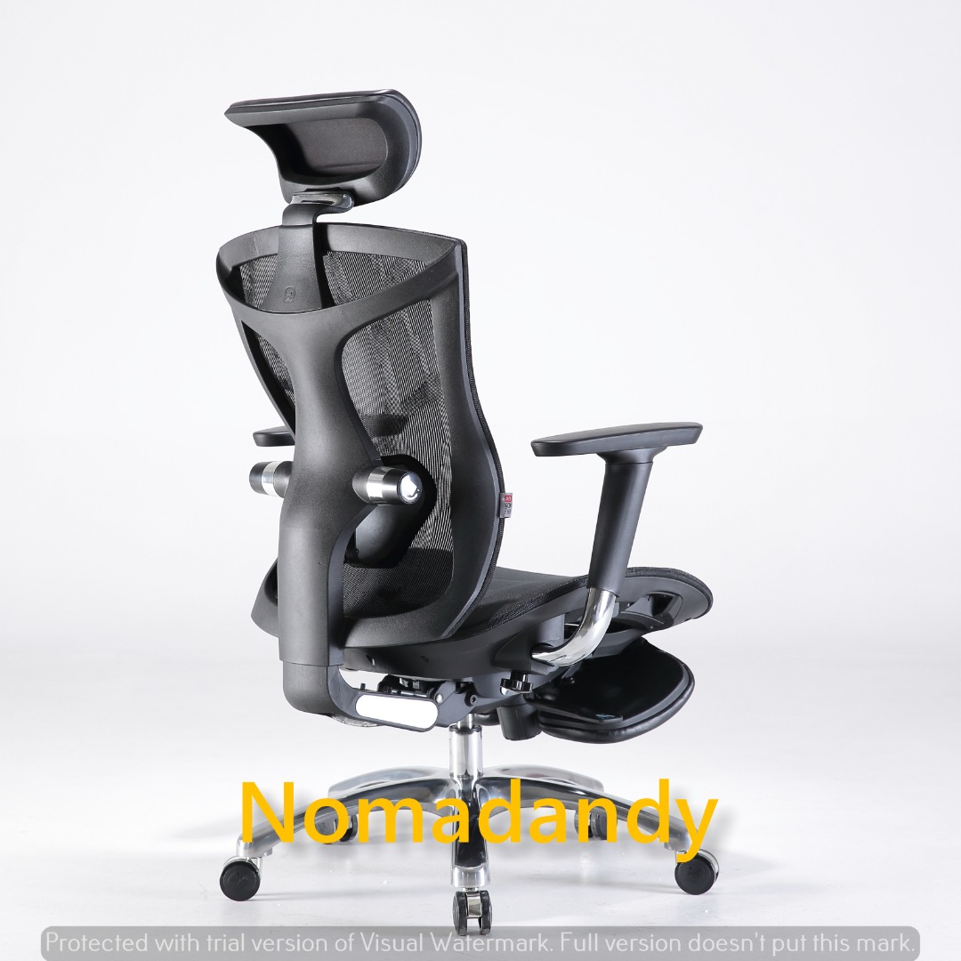 Sihoo V1 Ergonomic Office Chair with Adjustable Lumbar Support 4D