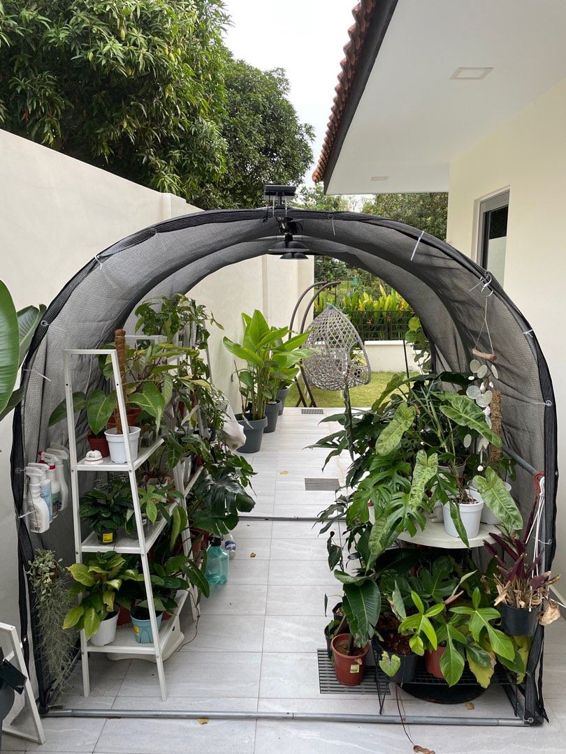 Plant Shade Awning Furniture Home Living Gardening Plants Seeds plant-shade-awning-furniture-home-living-gardening-plants-seeds