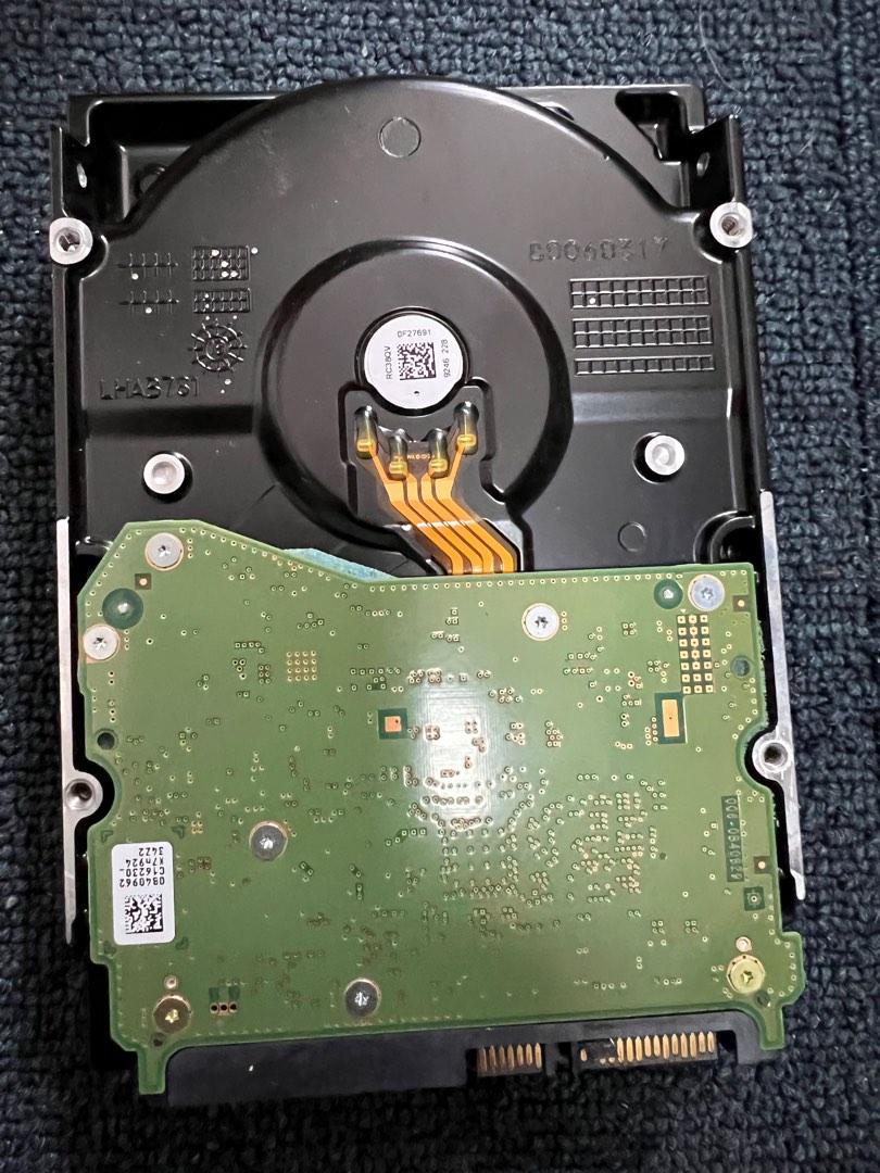 Western Digital 10tb hdd, 電腦＆科技, 電腦周邊及配件, 硬碟及儲存器