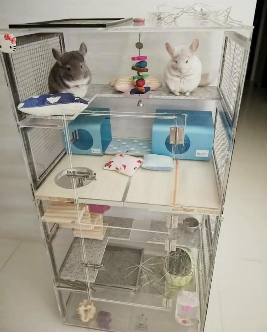 chinchilla custom cage