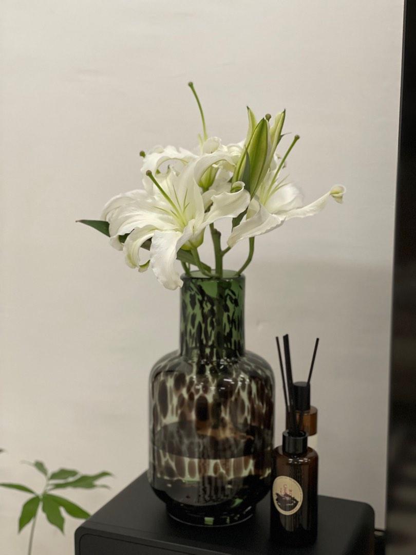 Aesthetic Glass Vase, Furniture & Home Living, Home Decor, Vases