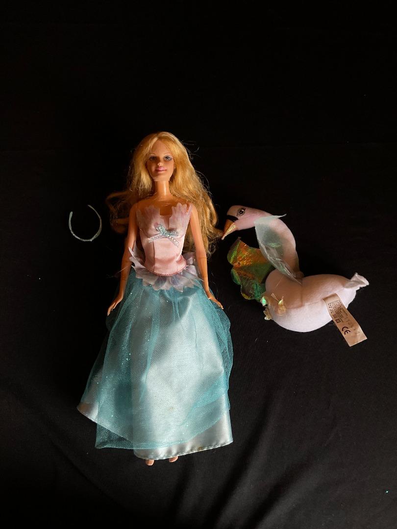 Barbie Swan Lake, Hobbies & Toys, Toys & Games on Carousell