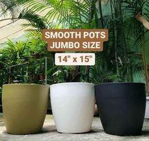 BIG POTS for planters small to large size